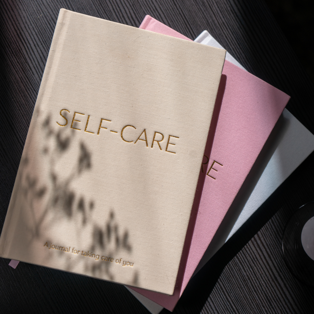 Journal titled 'Self-Care' on a dark surface